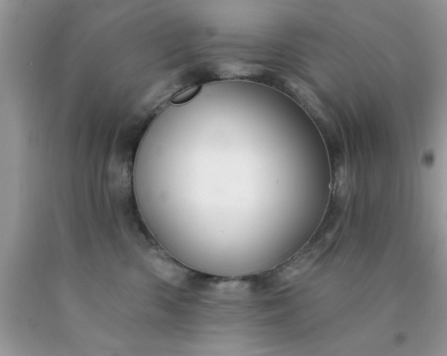 X0000090440426200707272158