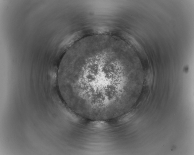 X0000090440427200707272158