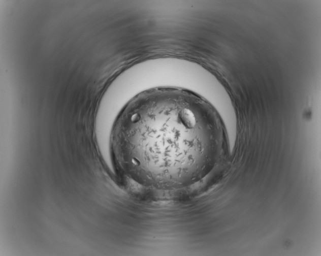 X0000090440428200707272158