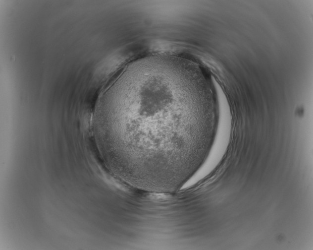 X0000090440429200707272158