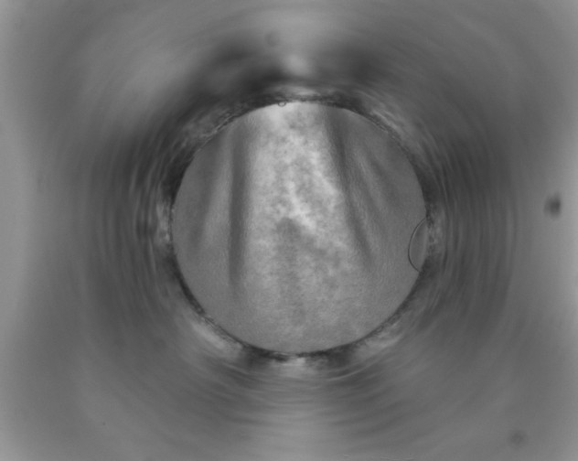 X0000090440430200707272158