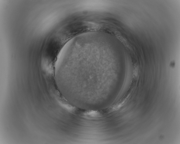 X0000090440431200707272158