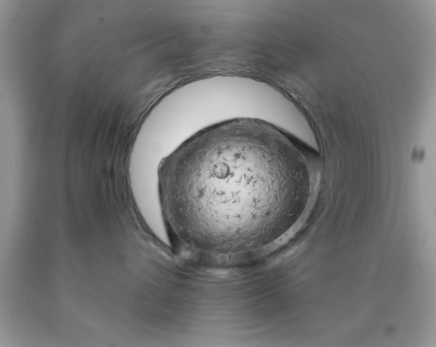 X0000090440432200707272158