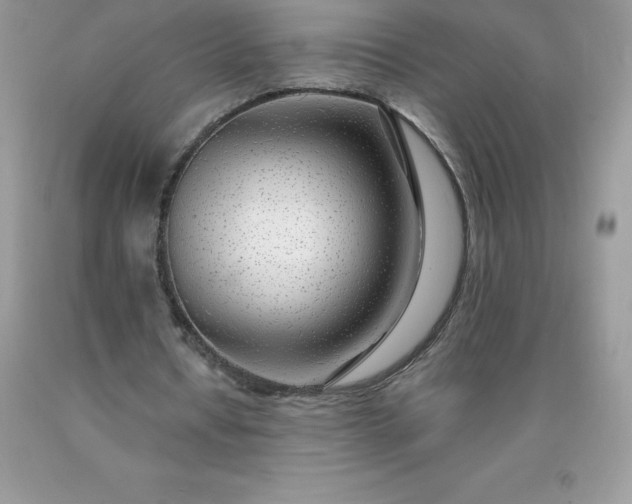 X0000090440434200707272158