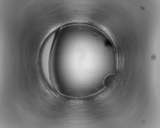 X0000090440435200707272158