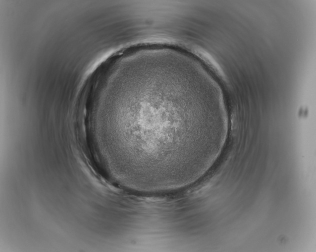 X0000090440436200707272158