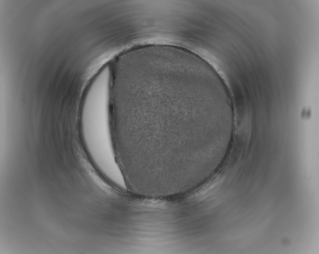 X0000090440437200707272158