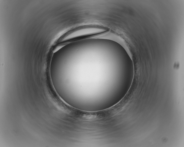 X0000090440440200707272158