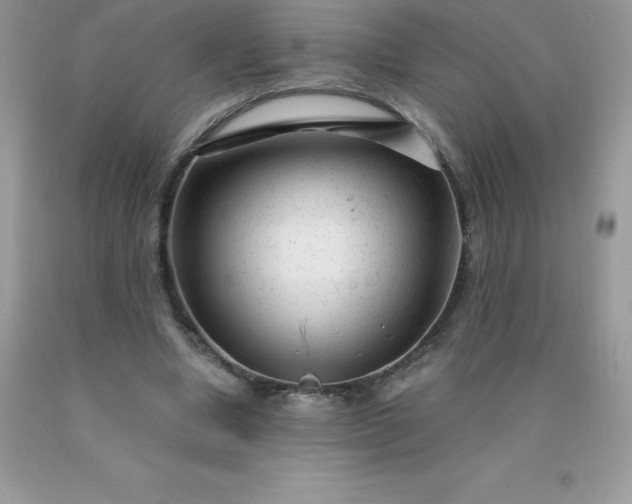 X0000090440442200707272158