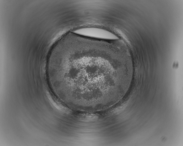 X0000090440443200707272158