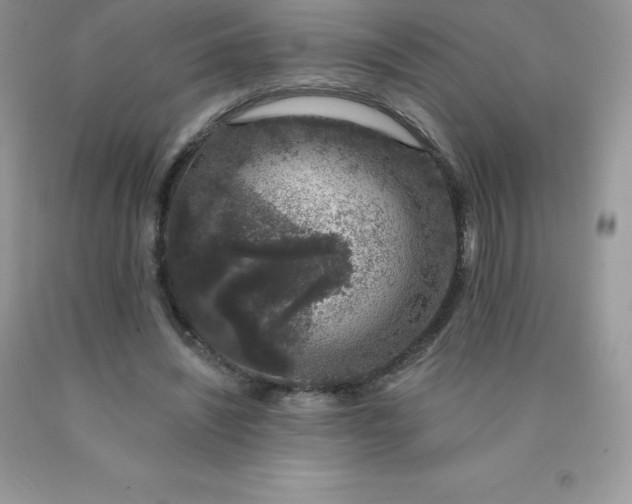 X0000090440444200707272158