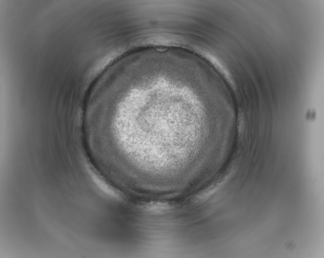 X0000090440445200707272158