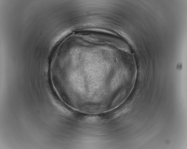 X0000090440446200707272158