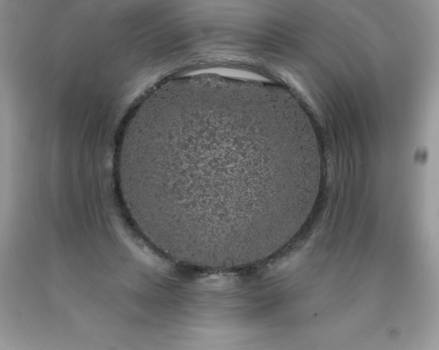 X0000090440447200707272158