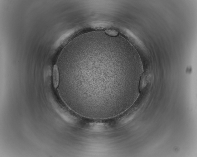 X0000090440448200707272158