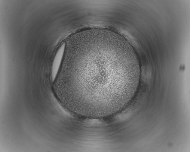 X0000090440449200707272158