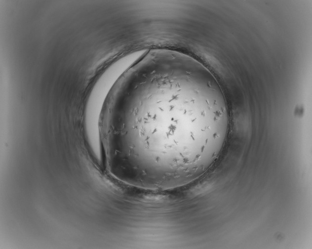 X0000090440450200707272158