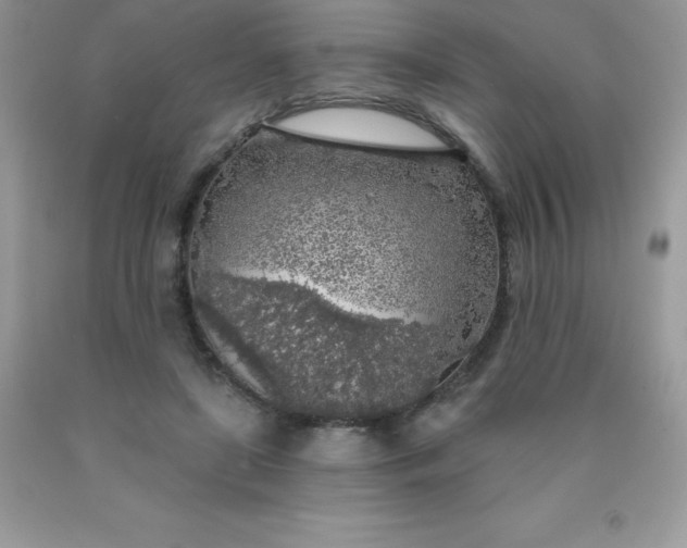 X0000090440451200707272158