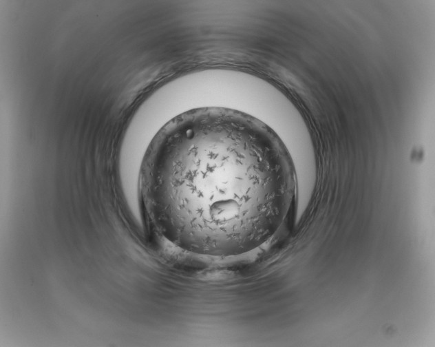 X0000090440452200707272158