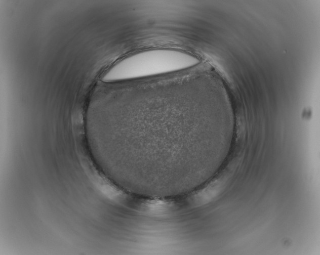 X0000090440453200707272158