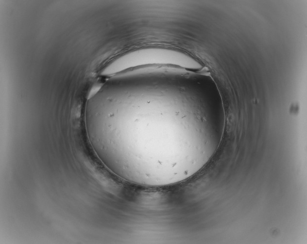 X0000090440454200707272158