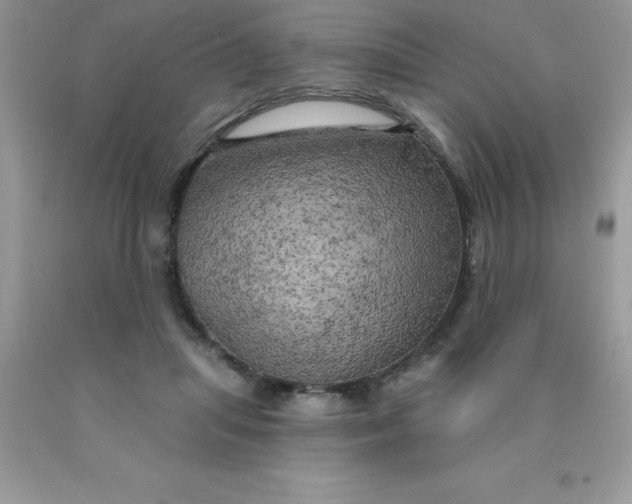 X0000090440455200707272158