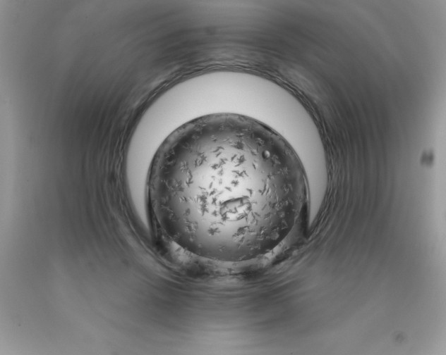 X0000090440456200707272158