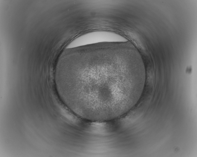 X0000090440457200707272158