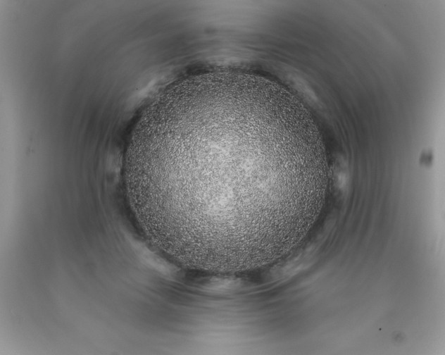 X0000090440458200707272158