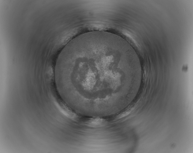 X0000090440459200707272158