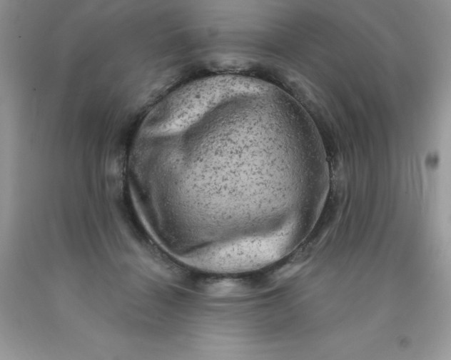 X0000090440460200707272158