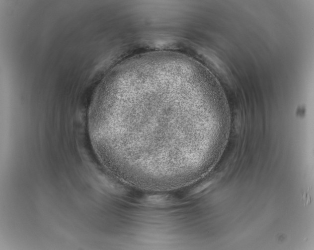 X0000090440461200707272158