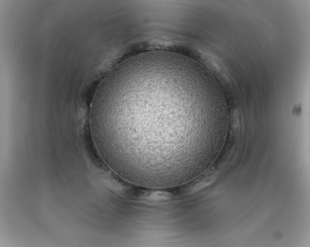 X0000090440463200707272158