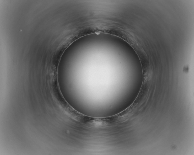 X0000090440464200707272158