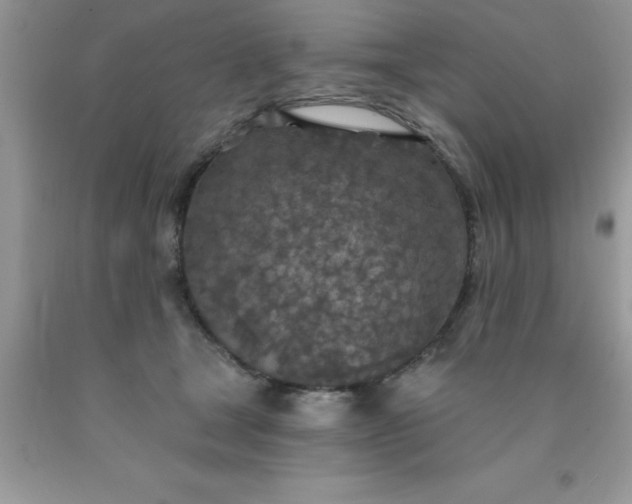 X0000090440465200707272158