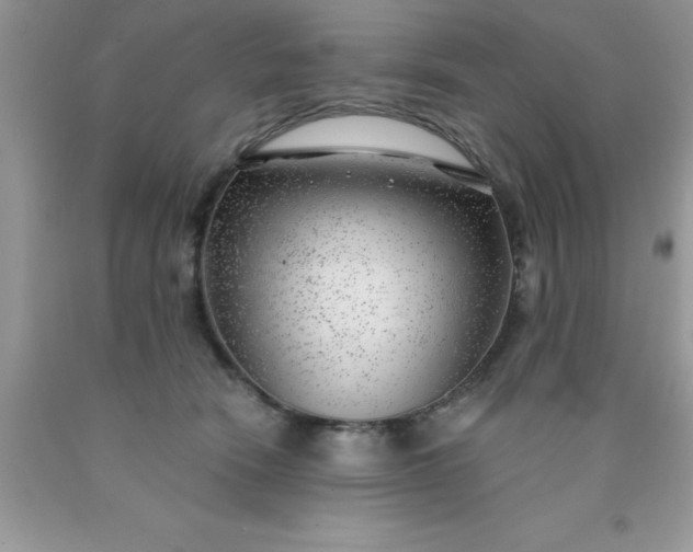 X0000090440466200707272158