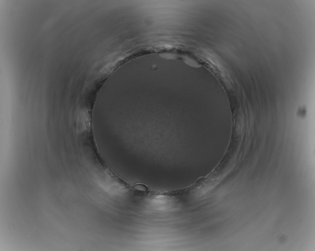 X0000090440467200707272158