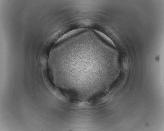 X0000090440468200707272158