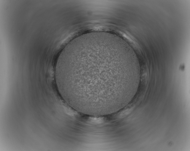 X0000090440469200707272158