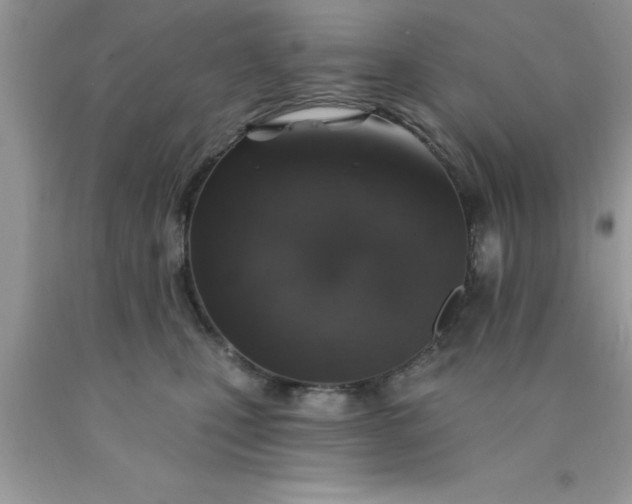 X0000090440471200707272158