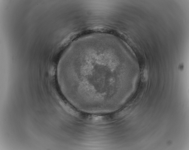 X0000090440472200707272158