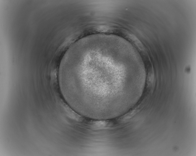 X0000090440473200707272158