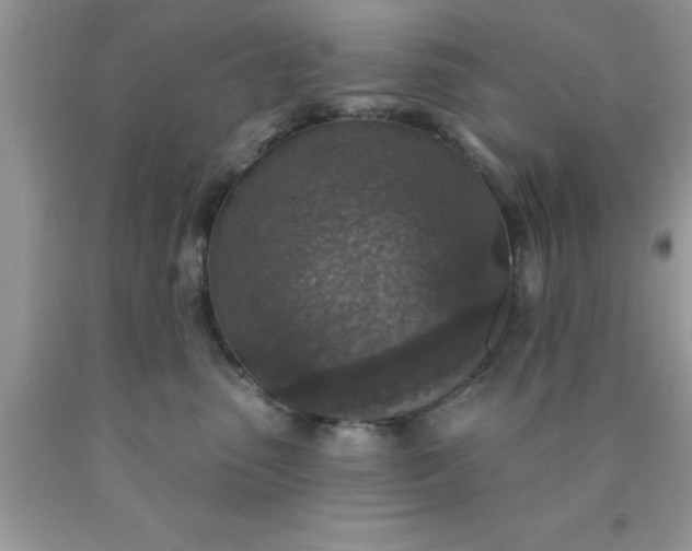 X0000090440475200707272158