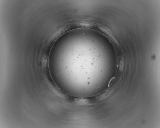 X0000090440476200707272158