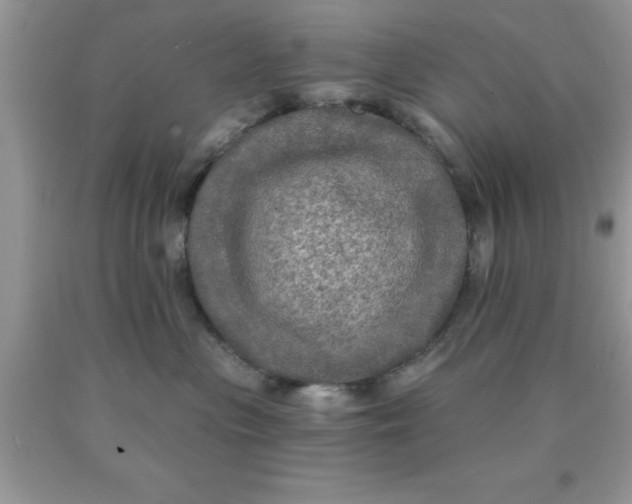 X0000090440477200707272158