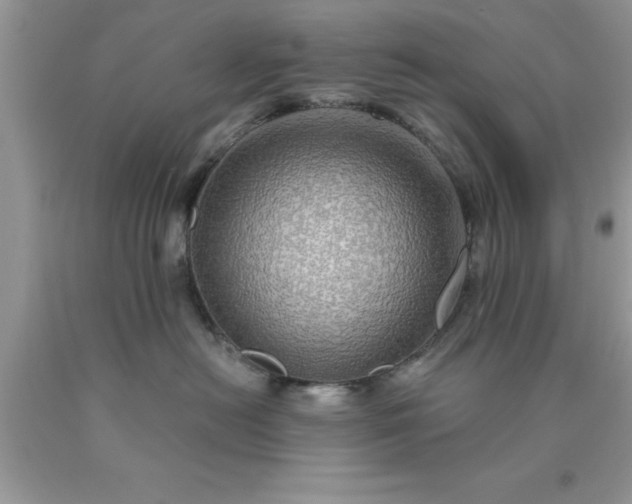 X0000090440478200707272158