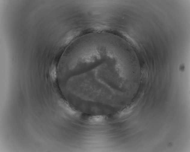 X0000090440479200707272158