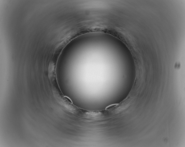 X0000090440480200707272158