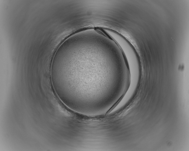 X0000090440481200707272158