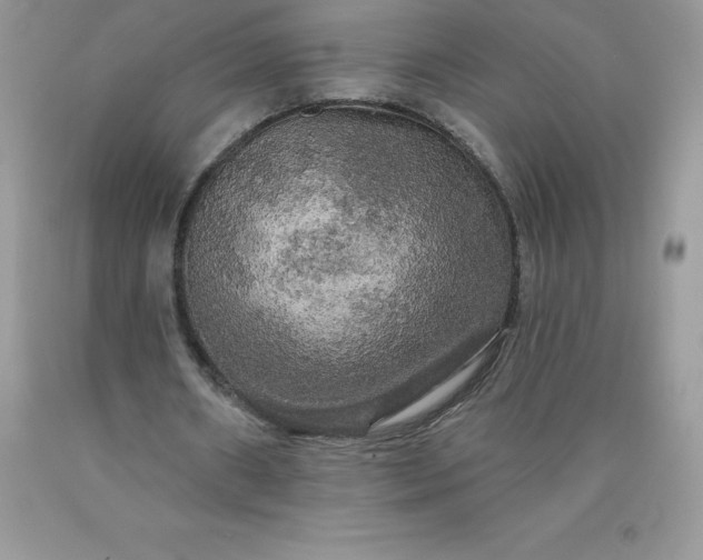 X0000090440482200707272158